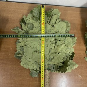 Веник для бани дуб кавказский любительский