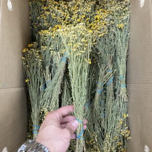 Трава для бани пижма
