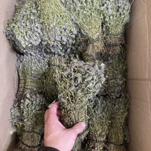 Трава для бани чабрец