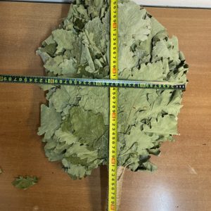 Веник Дуб Кавказ Экстра