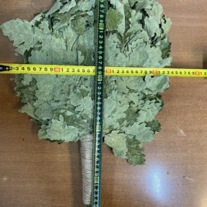 Веник Дуб Кавказ стандарт